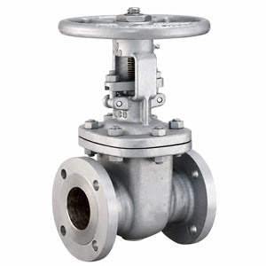 Globe Valve