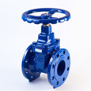 Gate Valve